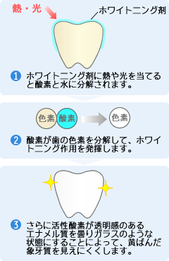 ホワイトニングの仕組み